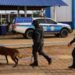 Polícia Penal intensifica revistas e reforça segurança nas unidades prisionais de Rondônia
