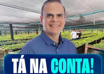 Alan Queiroz destina R$ 1,25 milhão para compra de mudas de café em sete municípios de Rondônia
