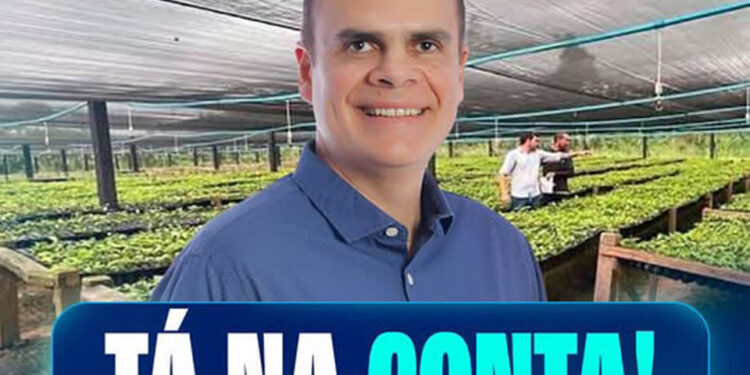 Alan Queiroz destina R$ 1,25 milhão para compra de mudas de café em sete municípios de Rondônia